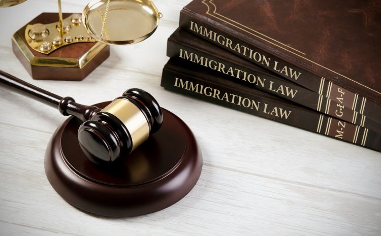  Immigration Law